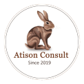 Atison Consult